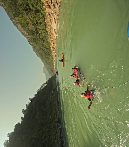 Photo from customer review